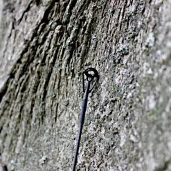 Hengel Ashima FFX-F -Fischköder Winkel 005d0d6366159e5f