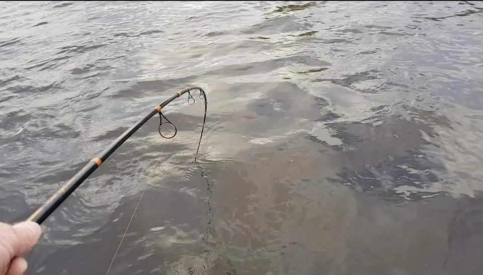 Patriot Pike Specialist Hyrräkelavapa Baitcasthengel 2.44m (15-75g) 10 Patriot Pike Specialist Hyrräkelavapa Baitcasthengel 2.44m (15-75g) - Afbeelding 8