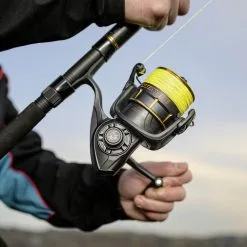 Black Cat Catextreme 65 13 Black Cat Catextreme 65 -Fischköder Winkel 46uanbiqoszc6j6f6yvla7ymua5b7ozk scaled 2