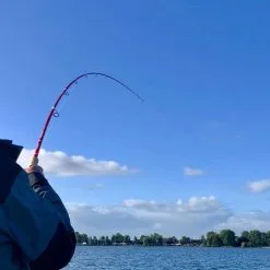 Patriot Pikehound Hyrräkelavapa Baitcasthengel -Fischköder Winkel 64361a56c6f9218f