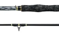 WFT Catbuster Bank Meervalhengel 2,70m (200-1200g)