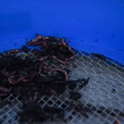 Cresta Supa Riddle Square Mesh -Fischköder Winkel Cresta Supa Riddle Square Mesh4