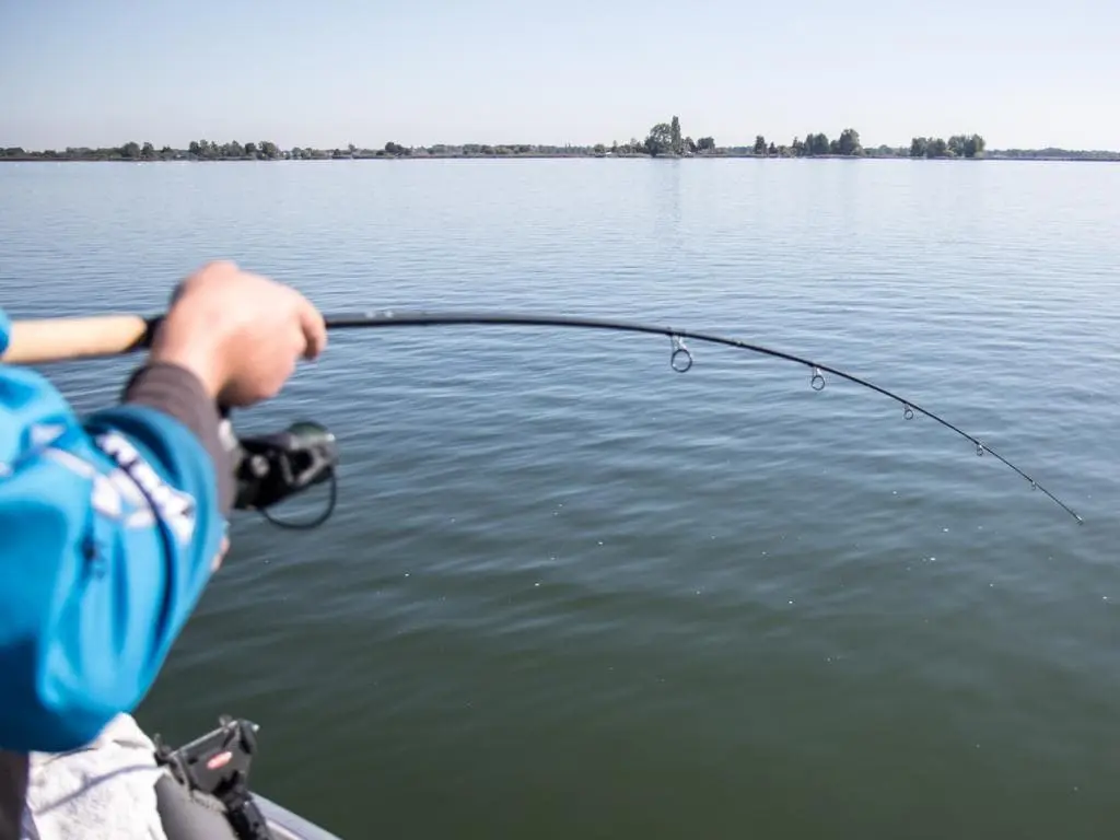 Patriot Ace Doodaashengel 10ft (3lb) 12 Patriot Ace Doodaashengel 10ft (3lb) - Afbeelding 10