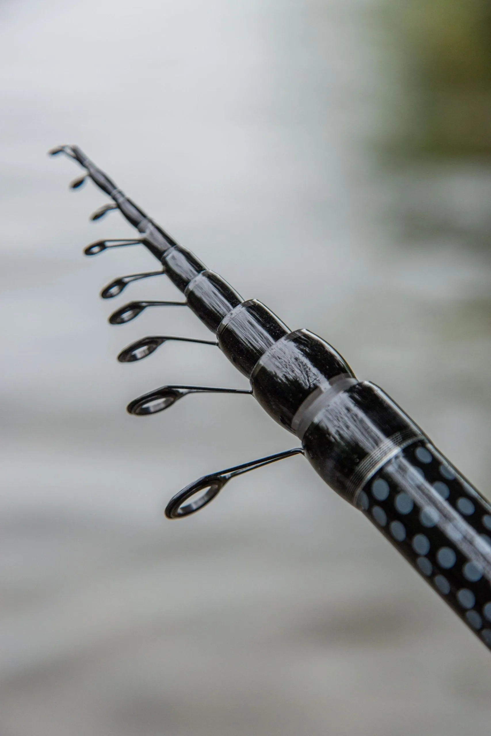 Ultimate Supreme Bolognese Hengel (35 Reviews) 12 Ultimate Supreme Bolognese Hengel (35 Reviews) - Afbeelding 10