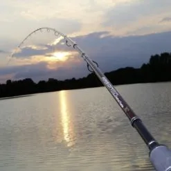 Hengel Browning Argon 2.0 Feeder MH 360cm -Fischköder Winkel e857d7ea72b0caaa