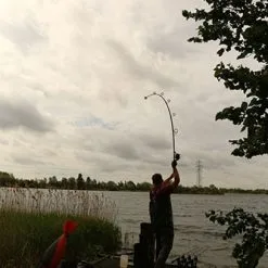 Hengel Fox Horizon X5 Slim Duplon Handle 12ft (3,25lb) 21 Hengel Fox Horizon X5 Slim Duplon Handle 12ft (3,25lb) -Fischköder Winkel eb1f2cfa01abd0f2