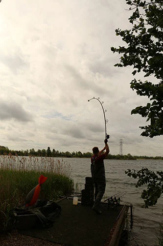 Hengel Fox Horizon X5 Slim Duplon Handle 12ft (3,25lb) 12 Hengel Fox Horizon X5 Slim Duplon Handle 12ft (3,25lb) - Afbeelding 10