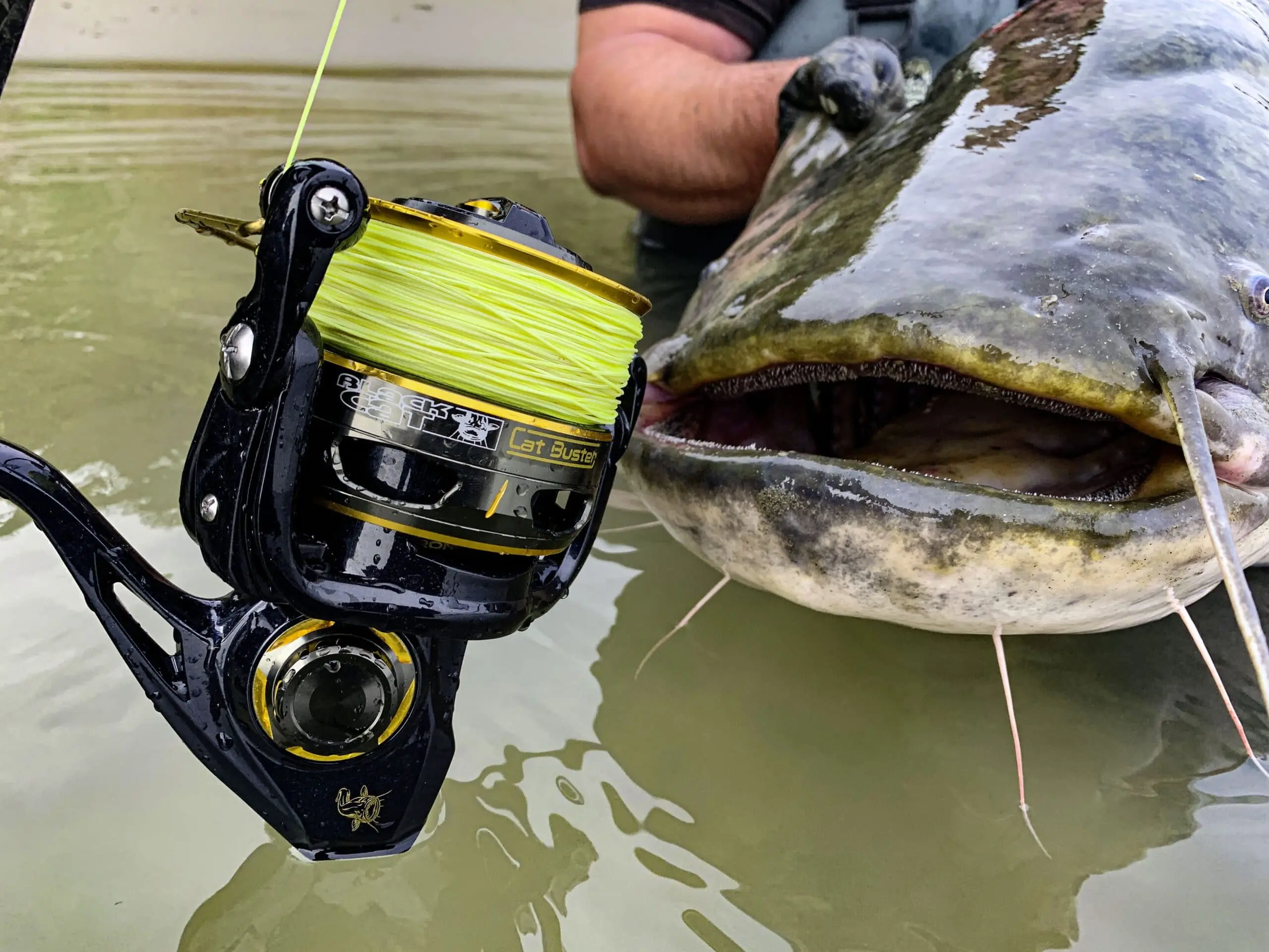 Black Cat Buster Spin FD 6120 4 Black Cat Buster Spin FD 6120 - Afbeelding 2