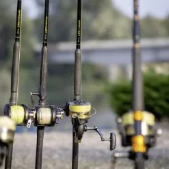 Black Cat Extreme FD 495 -Fischköder Winkel mmobrn6rgsx4bj3rc2hurruebqtxznam scaled 3